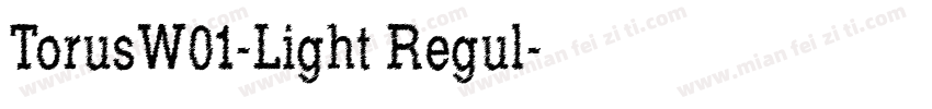 TorusW01-Light Regul字体转换